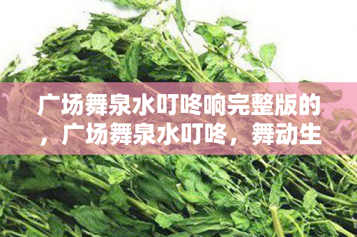 广场舞泉水叮咚响完整版的，广场舞泉水叮咚，舞动生活的旋律