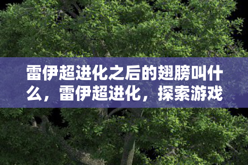 雷伊超进化之后的翅膀叫什么，雷伊超进化，探索游戏进化的奥秘
