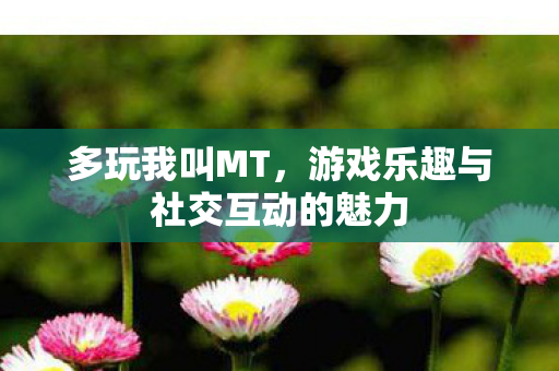 多玩我叫MT，游戏乐趣与社交互动的魅力