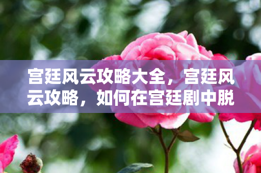 宫廷风云攻略大全，宫廷风云攻略，如何在宫廷剧中脱颖而出