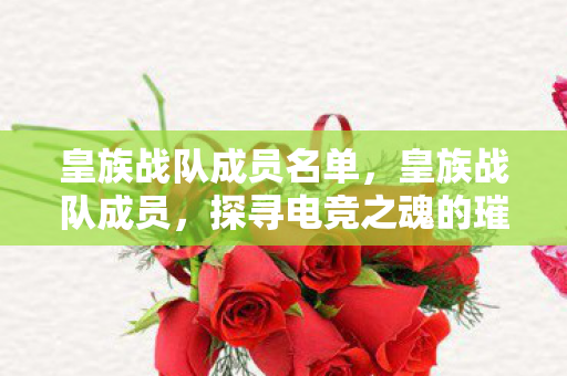皇族战队成员名单，皇族战队成员，探寻电竞之魂的璀璨篇章