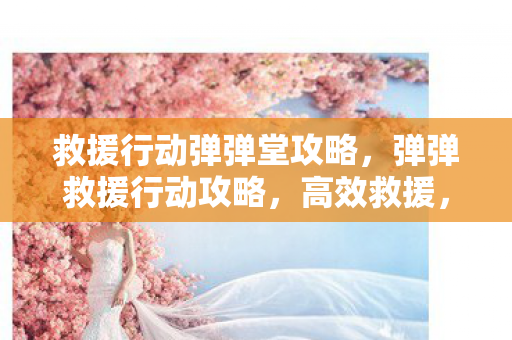 救援行动弹弹堂攻略，弹弹救援行动攻略，高效救援，精准打击