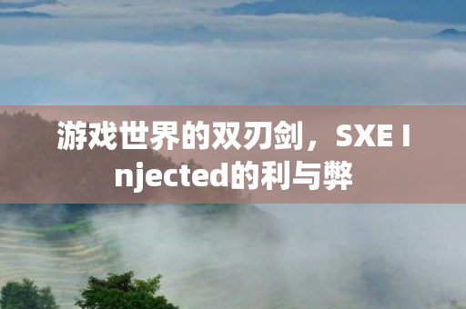 游戏世界的双刃剑，SXE Injected的利与弊