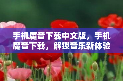 手机魔音下载中文版，手机魔音下载，解锁音乐新体验，尽享个性化听觉盛宴