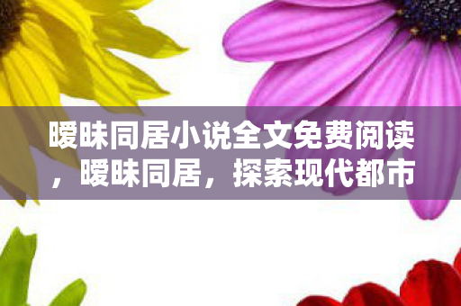 暧昧同居小说全文免费阅读，暧昧同居，探索现代都市中的微妙情感与生活方式