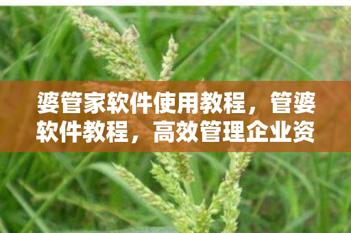 婆管家软件使用教程，管婆软件教程，高效管理企业资源的实战指南