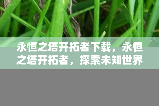 永恒之塔开拓者下载，永恒之塔开拓者，探索未知世界的先驱者