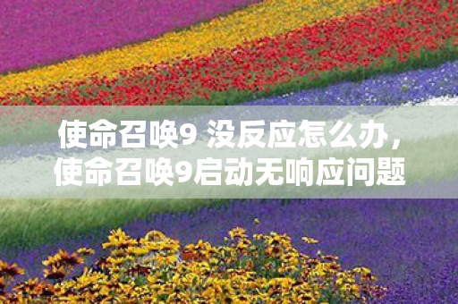 使命召唤9 没反应怎么办，使命召唤9启动无响应问题解析