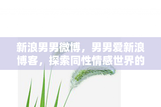 新浪男男微博，男男爱新浪博客，探索同性情感世界的深度剖析