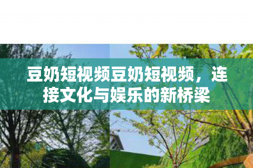 豆奶短视频豆奶短视频，连接文化与娱乐的新桥梁