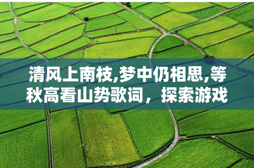 清风上南枝,梦中仍相思,等秋高看山势歌词，探索游戏世界的另一面，私服与官方服务器的独特魅力