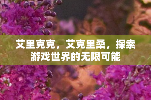 艾里克克，艾克里桑，探索游戏世界的无限可能