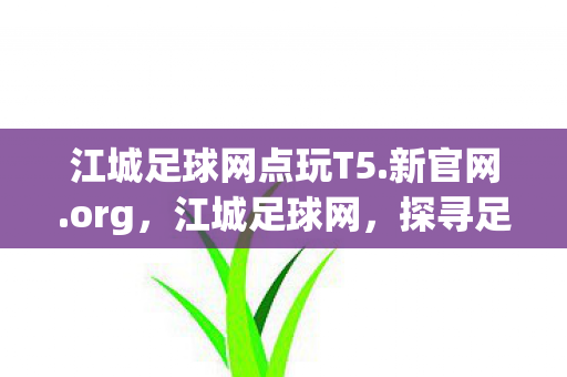 江城足球网点玩T5.新官网.org，江城足球网，探寻足球激情的线上殿堂