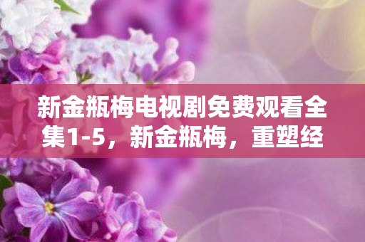 新金瓶梅电视剧免费观看全集1-5，新金瓶梅，重塑经典，再现传奇