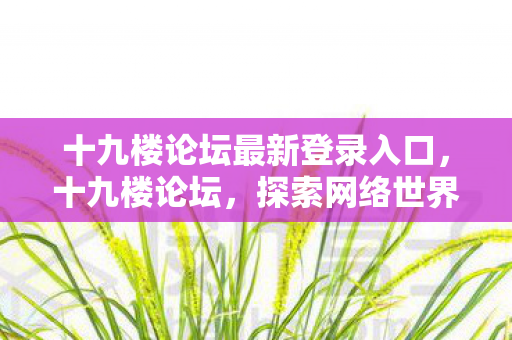 十九楼论坛最新登录入口，十九楼论坛，探索网络世界的多元视角