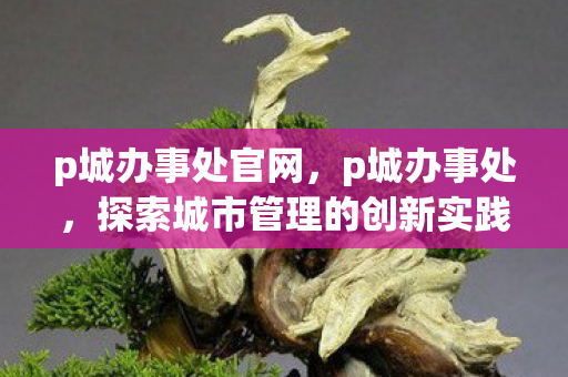 p城办事处官网，p城办事处，探索城市管理的创新实践