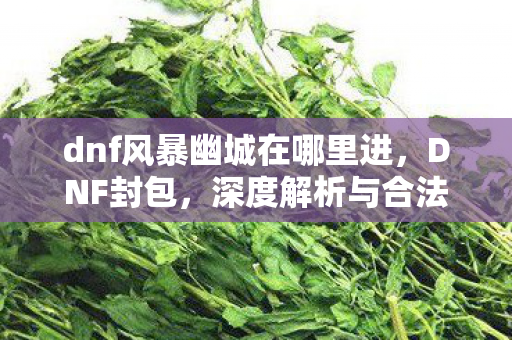 dnf风暴幽城在哪里进，DNF封包，深度解析与合法使用指南