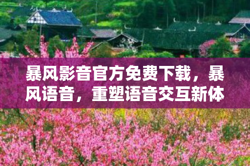 暴风影音官方免费下载，暴风语音，重塑语音交互新体验