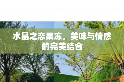 水晶之恋果冻，美味与情感的完美结合