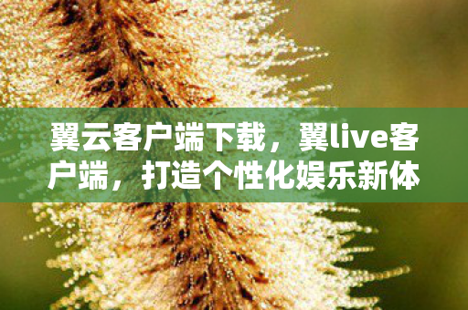 翼云客户端下载，翼live客户端，打造个性化娱乐新体验