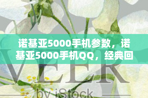 诺基亚5000手机参数，诺基亚5000手机QQ，经典回忆与现代科技的融合