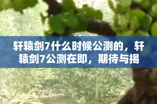 轩辕剑7什么时候公测的，轩辕剑7公测在即，期待与揭秘