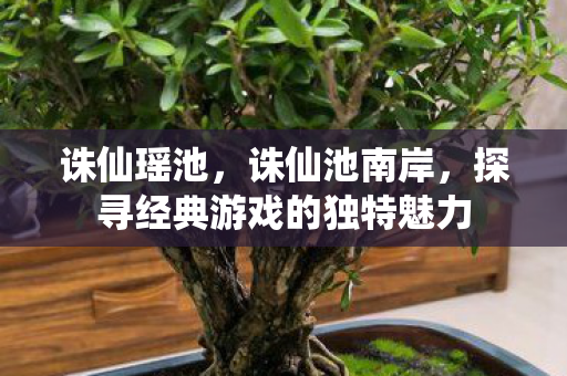 诛仙瑶池，诛仙池南岸，探寻经典游戏的独特魅力