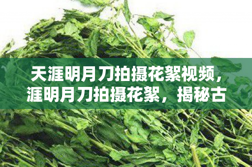 天涯明月刀拍摄花絮视频，涯明月刀拍摄花絮，揭秘古风巨制的幕后故事