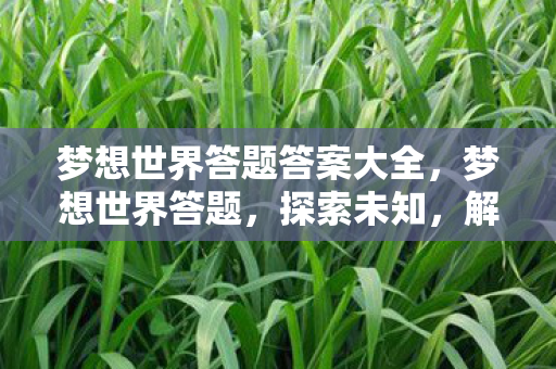 梦想世界答题答案大全，梦想世界答题，探索未知，解锁你的智慧之旅