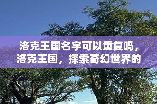 洛克王国名字可以重复吗，洛克王国，探索奇幻世界的奇妙冒险