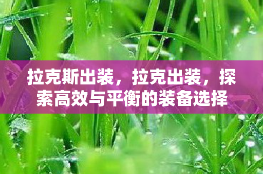 拉克斯出装，拉克出装，探索高效与平衡的装备选择