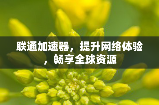 联通加速器，提升网络体验，畅享全球资源