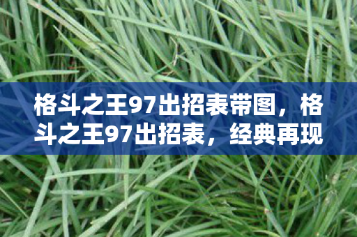 格斗之王97出招表带图，格斗之王97出招表，经典再现，技巧与策略并存