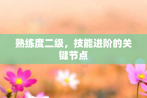 熟练度二级，技能进阶的关键节点