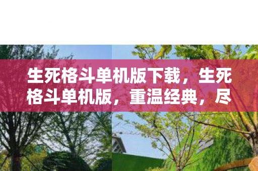 生死格斗单机版下载，生死格斗单机版，重温经典，尽享格斗魅力