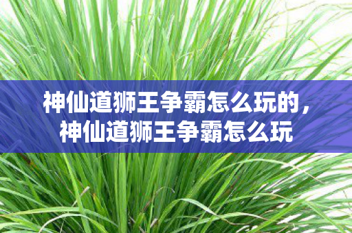 神仙道狮王争霸怎么玩的，神仙道狮王争霸怎么玩