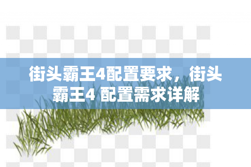 街头霸王4配置要求，街头霸王4 配置需求详解