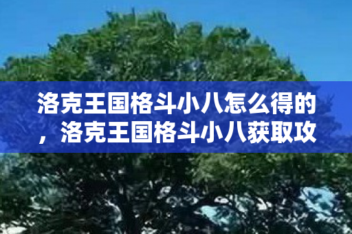 洛克王国格斗小八怎么得的，洛克王国格斗小八获取攻略