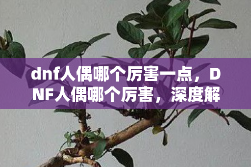 dnf人偶哪个厉害一点，DNF人偶哪个厉害，深度解析与实战评测