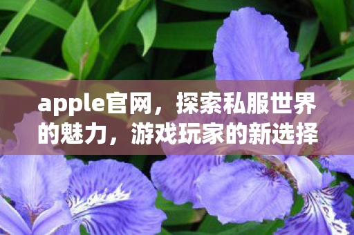 apple官网，探索私服世界的魅力，游戏玩家的新选择