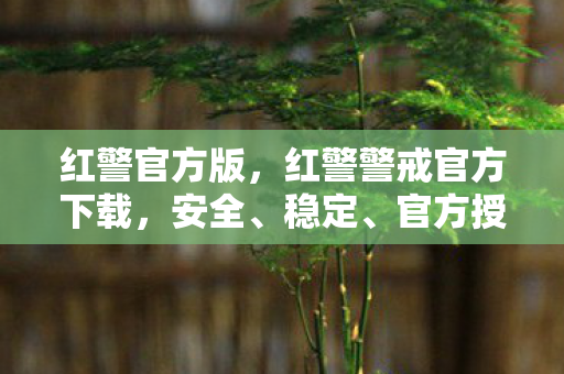 红警官方版，红警警戒官方下载，安全、稳定、官方授权