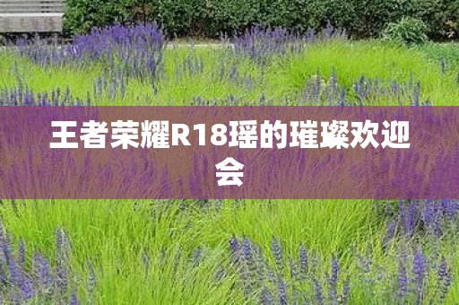 王者荣耀R18瑶的璀璨欢迎会