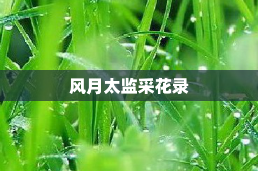 风月太监采花录