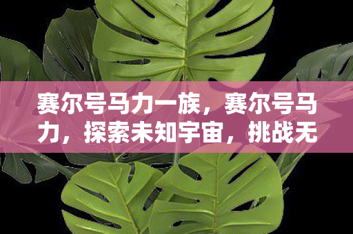 赛尔号马力一族，赛尔号马力，探索未知宇宙，挑战无限可能
