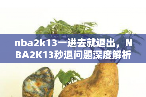 nba2k13一进去就退出，NBA2K13秒退问题深度解析，原因、解决与游戏优化