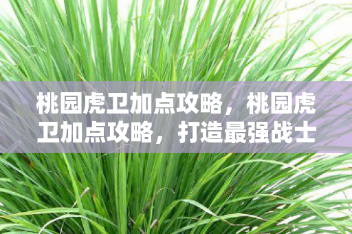 桃园虎卫加点攻略，桃园虎卫加点攻略，打造最强战士