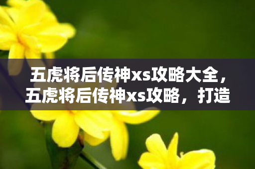 五虎将后传神xs攻略大全，五虎将后传神xs攻略，打造最强阵容，征服战场！