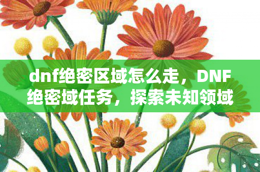 dnf绝密区域怎么走，DNF绝密域任务，探索未知领域的冒险之旅
