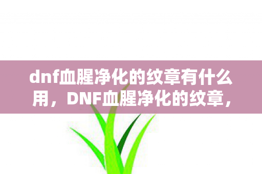 dnf血腥净化的纹章有什么用，DNF血腥净化的纹章，解锁全新战斗体验