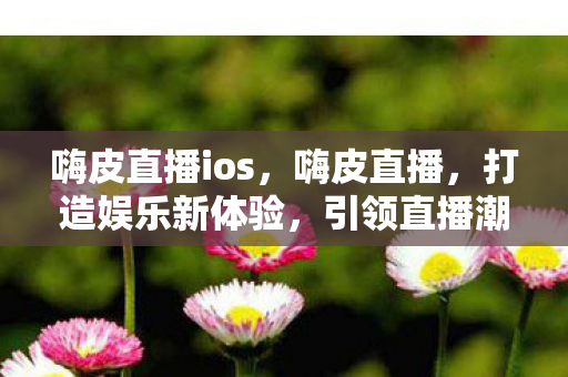 嗨皮直播ios，嗨皮直播，打造娱乐新体验，引领直播潮流